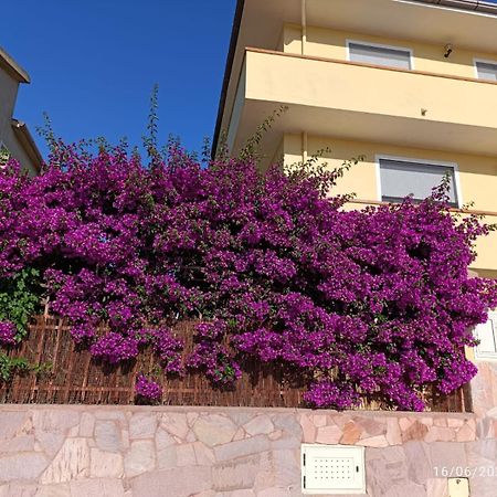 Bouganville Olmedo Exterior photo