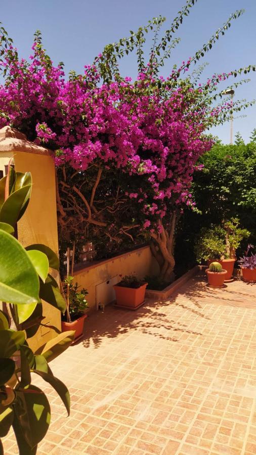Bouganville Olmedo Exterior photo