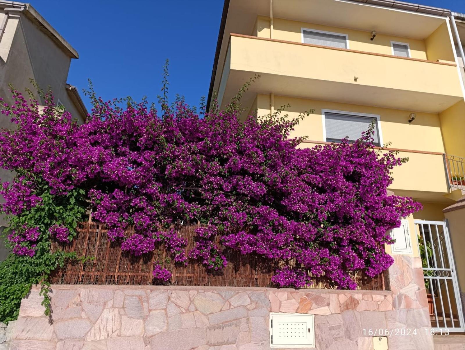Bouganville Olmedo Exterior photo